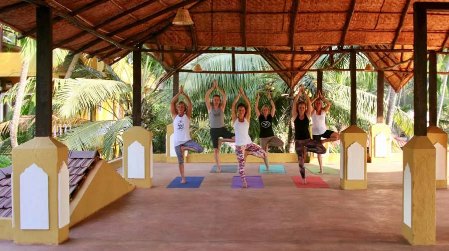 Devarya Wellness-Image7