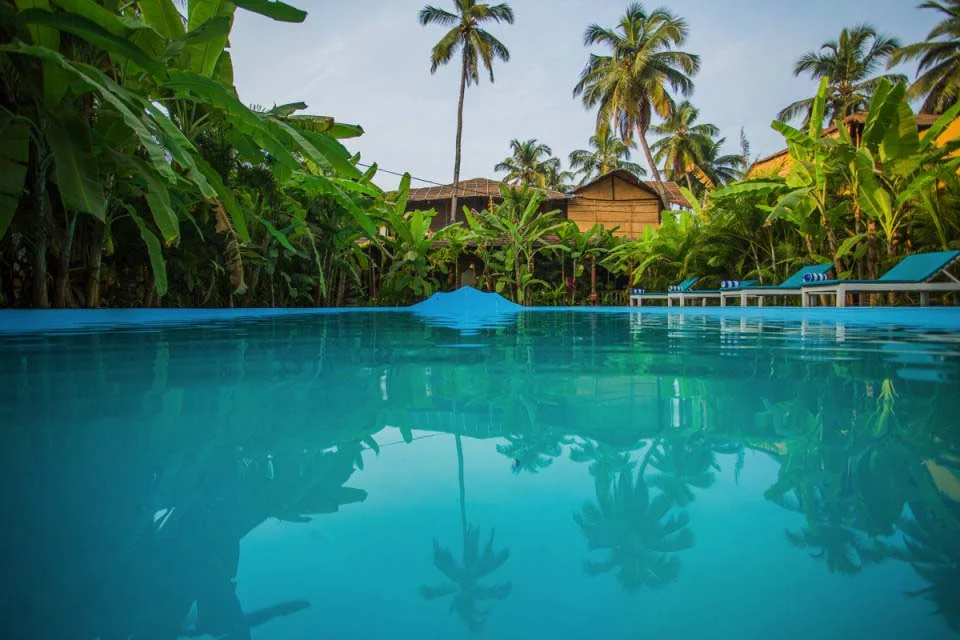 Devarya Wellness-Image8