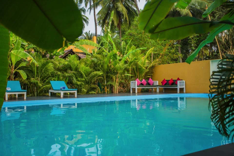 Devarya Wellness-Image9