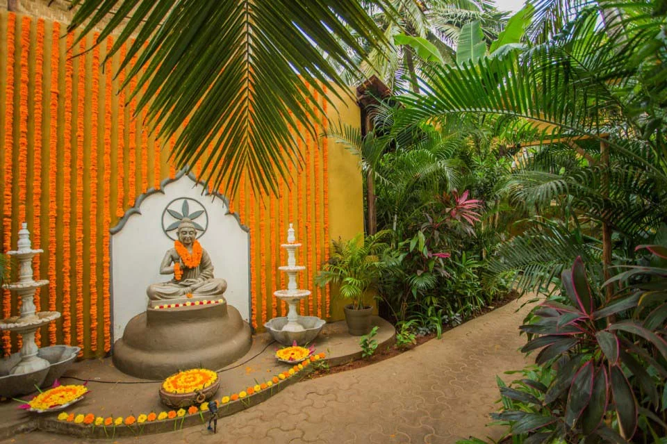 Devarya Wellness-Image12