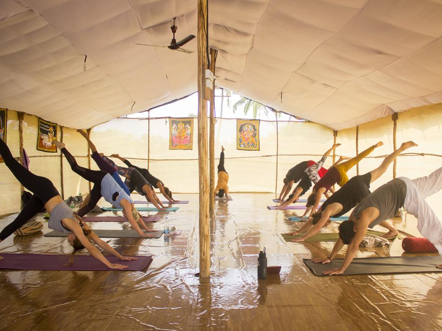 Hatha and Ashtanga Vinyasa Yoga Teacher Training-Image6
