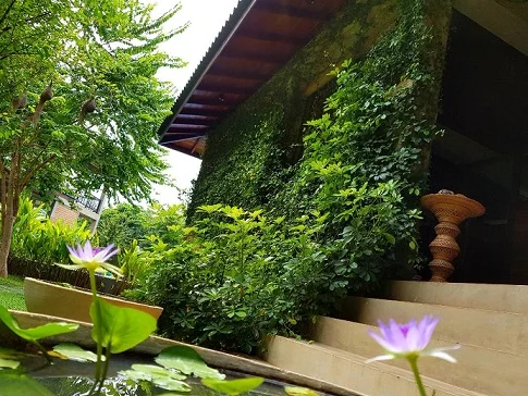 Karunakarala Ayurveda Resort-Image20
