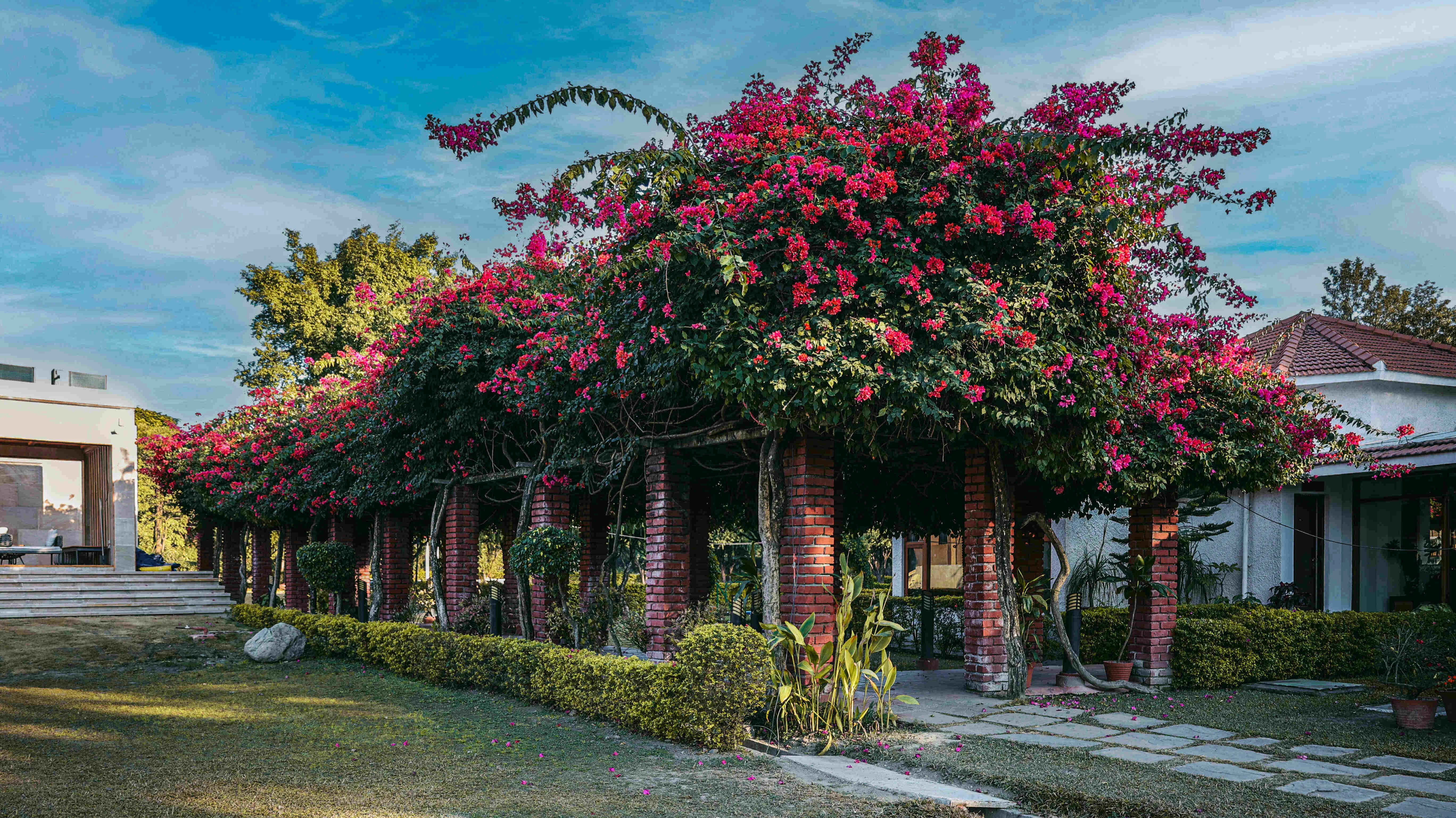 NaturOville Retreat-Image7