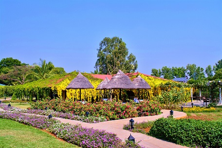 INTEGRATED SHUDHA - DETOXIFICATION-Image10