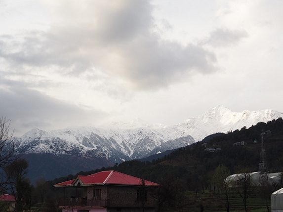 -View-5