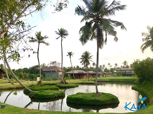 Kaya Health Resort-Image6