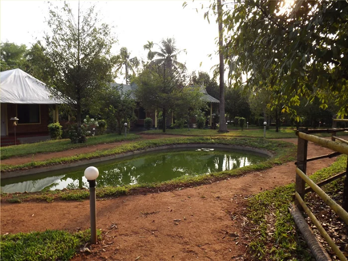 Namaste Ayurvedic Wellness Center-Image8