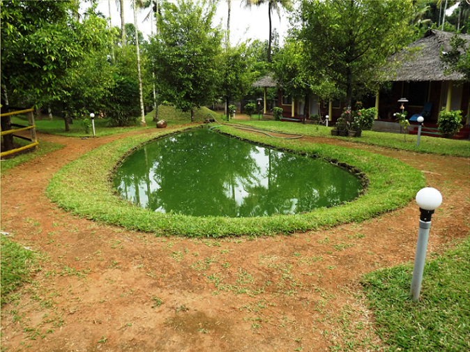 Rejuvenation Package-Image6