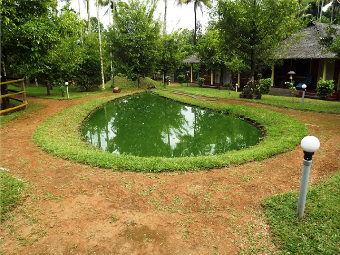 Namaste Ayurvedic Wellness Center-View-4