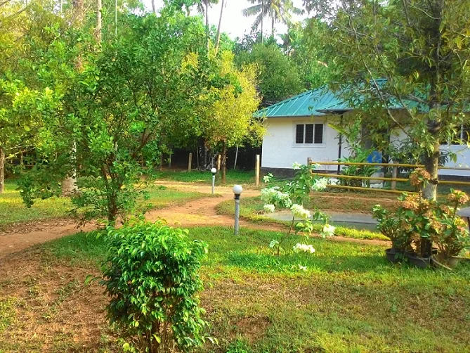 Namaste Ayurvedic Wellness Center-Image7