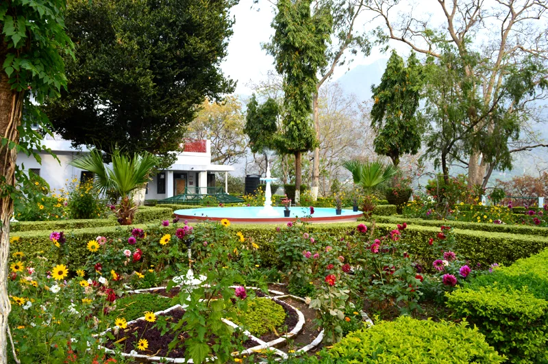 -View-2