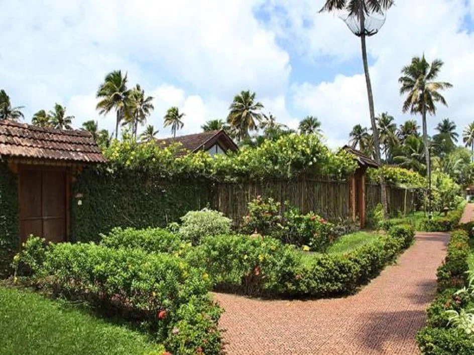 Ayurveda Spine and Neck Care Program-Image6