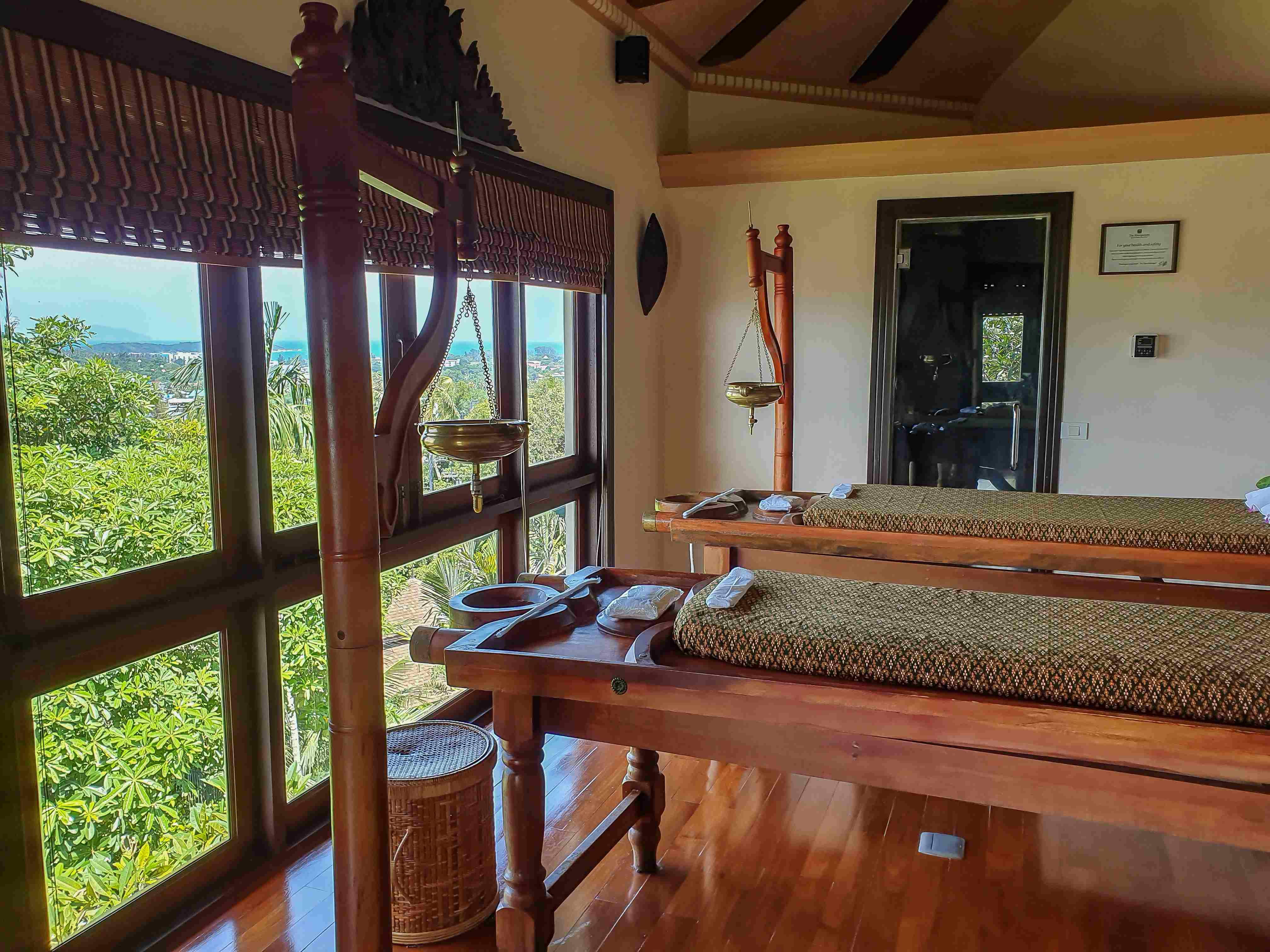 Mangosteen Ayurveda & Wellness Resort-View-4