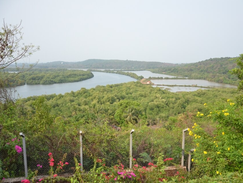 -View-5