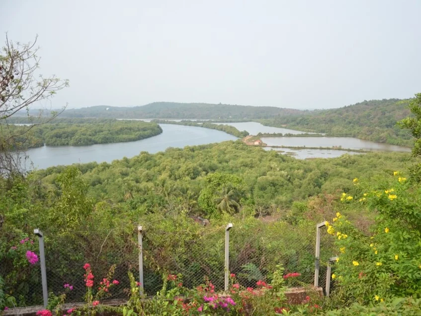 -View-5