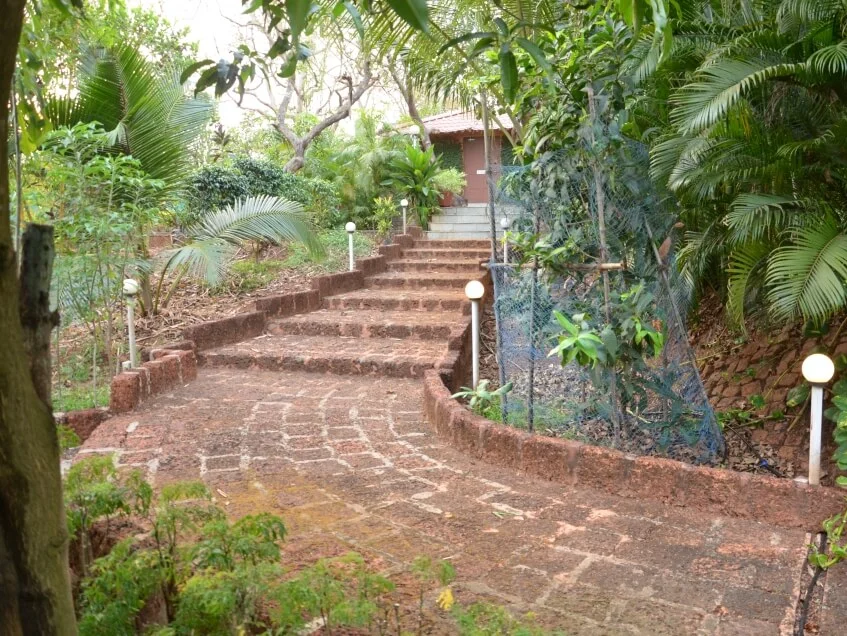 The Yoga Institute Goa-Image8