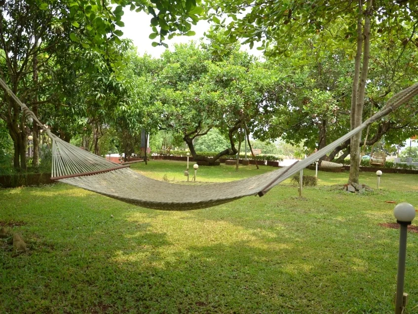 The Yoga Institute Goa-Image10