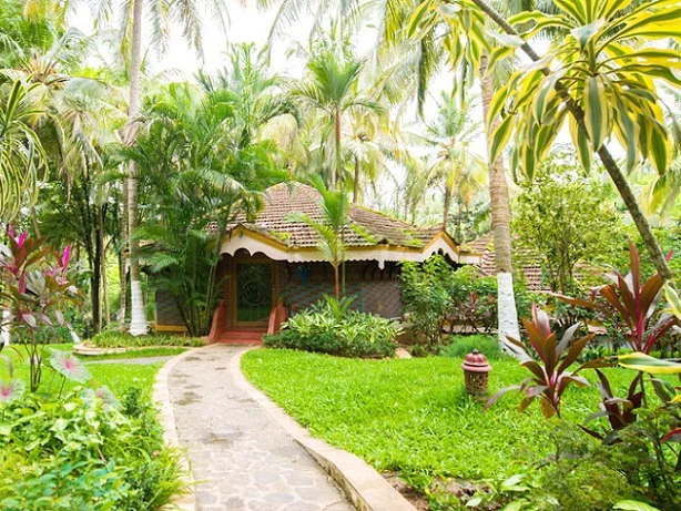Kairali Ayurvedic Healing Village-Image11