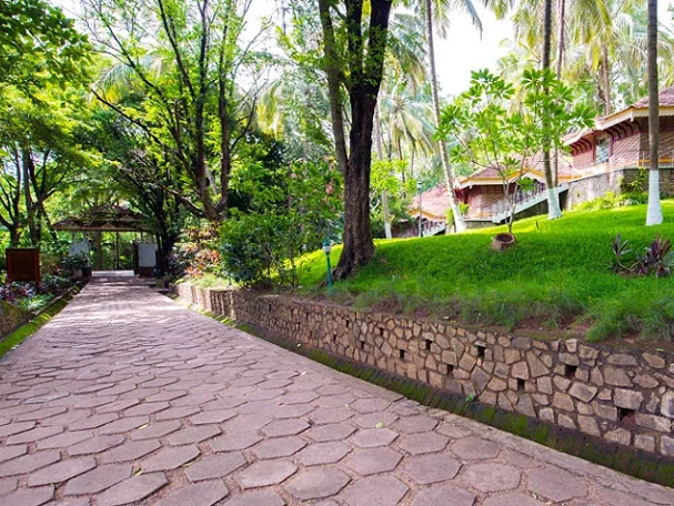 Kairali Ayurvedic Healing Village-Image10