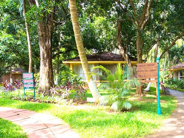 Kairali Ayurvedic Healing Village-Image12