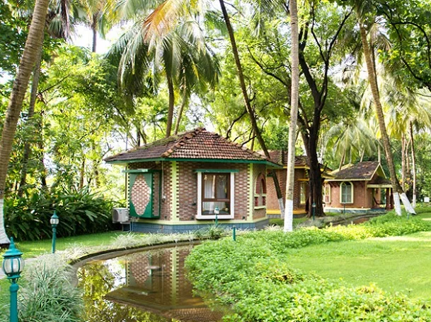 Kairali Ayurvedic Healing Village-Image16