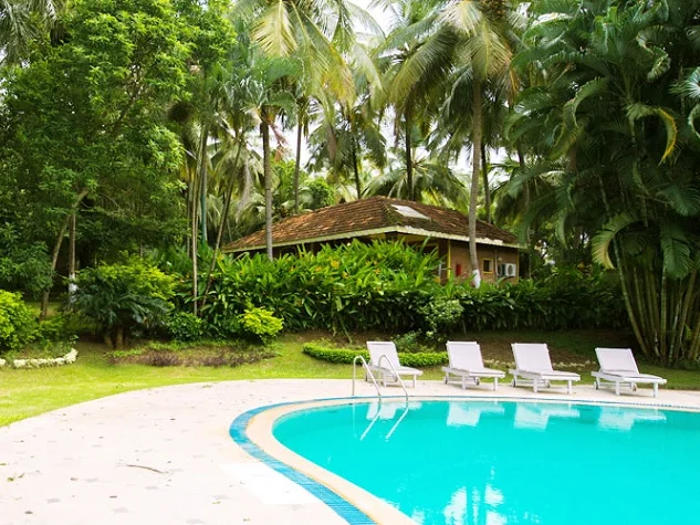 Kairali Ayurvedic Healing Village-Image15