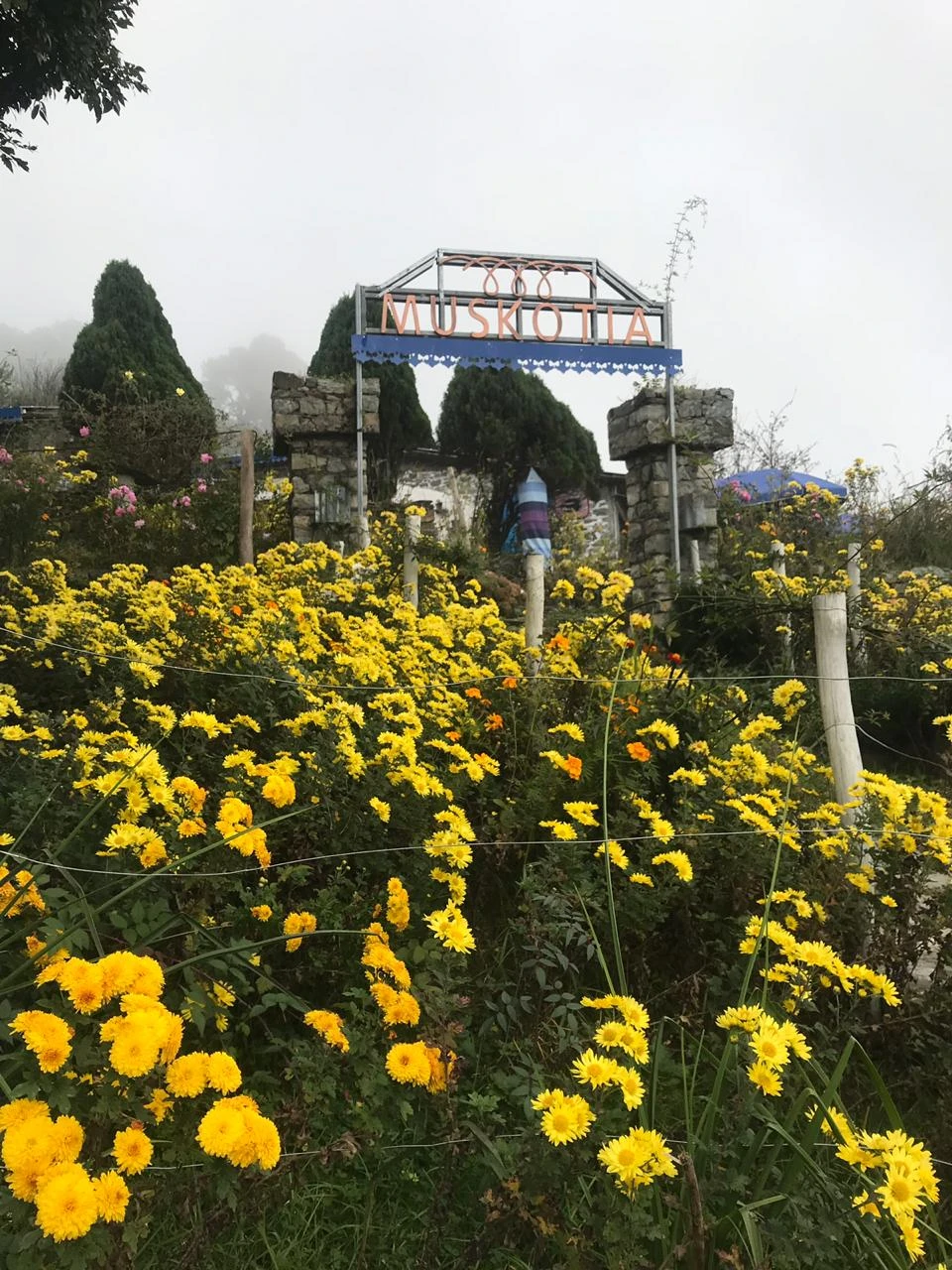 Muskotia Wellness-Image9