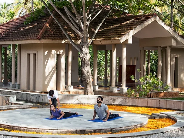 Shreyas Yoga Retreat-Image6