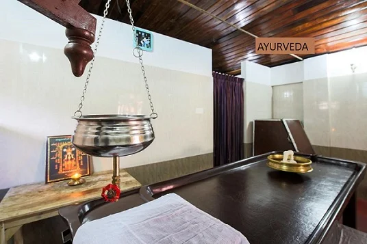 Royal Heritage Resort and Ayurveda-View-2