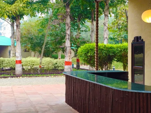 Dr Sudha's Ayurveda Kendra-View-4