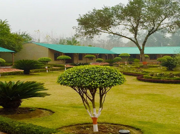 Dr Sudha's Ayurveda Kendra-View-3