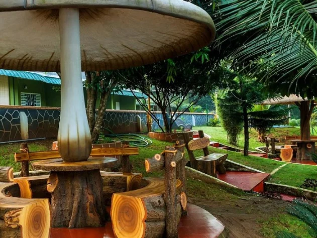 Elephant Pass Ayurveda & Yoga Retreat-Image6