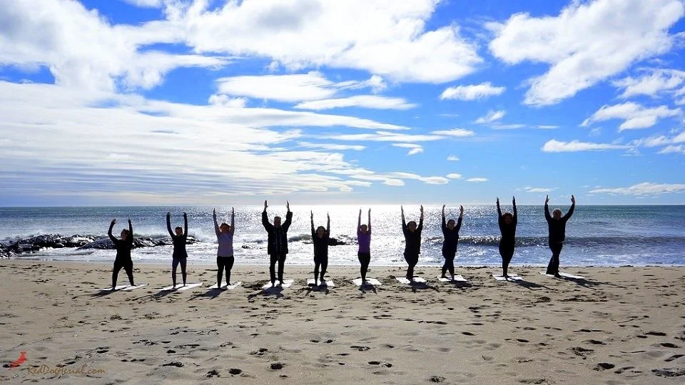 AYM Yoga School Goa-View-4