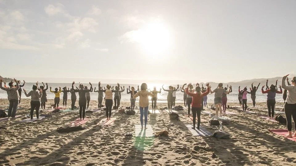 AYM Yoga School Goa-View-3