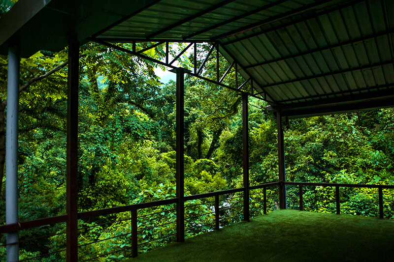 -View-5