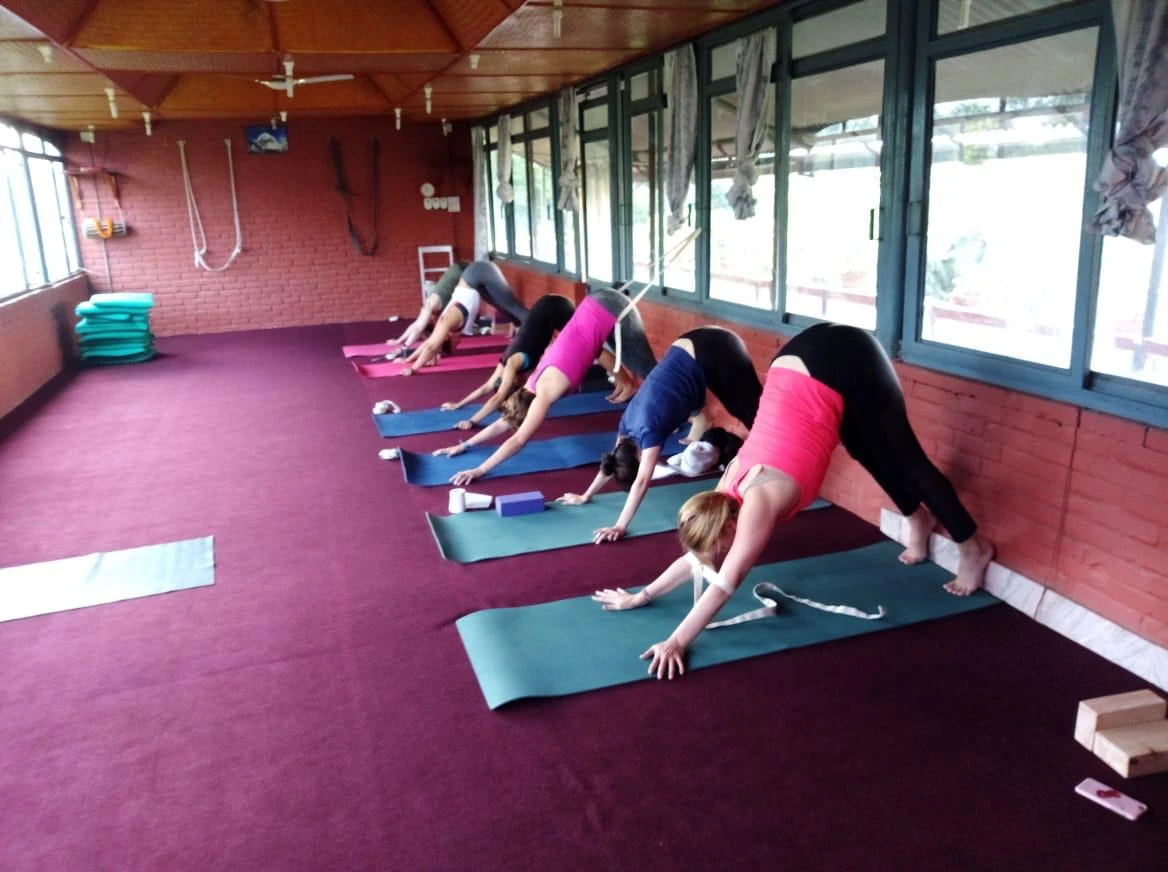 200 HOUR YOGA TEACHER TRAINING-Image8