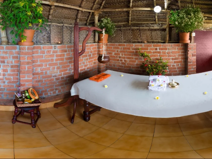 Body Purification Therapy-Image6
