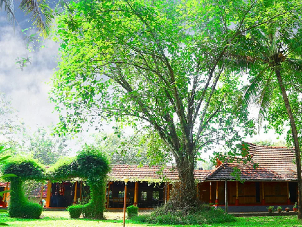 Santhi Yoga International Teachers Training and  Research Hosana Mount-View-2