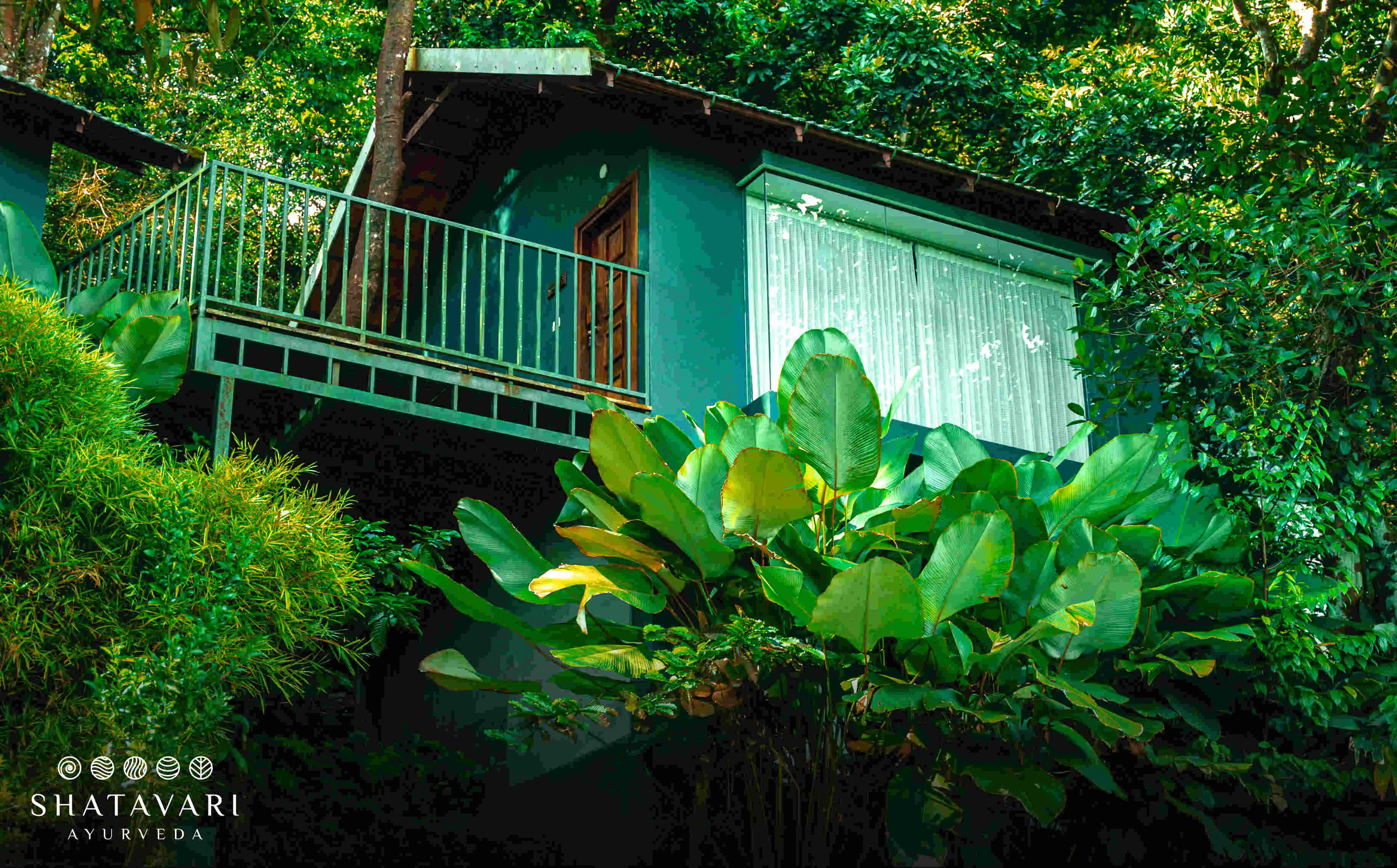 Shatavari Ayurveda Hill Resort-View-2