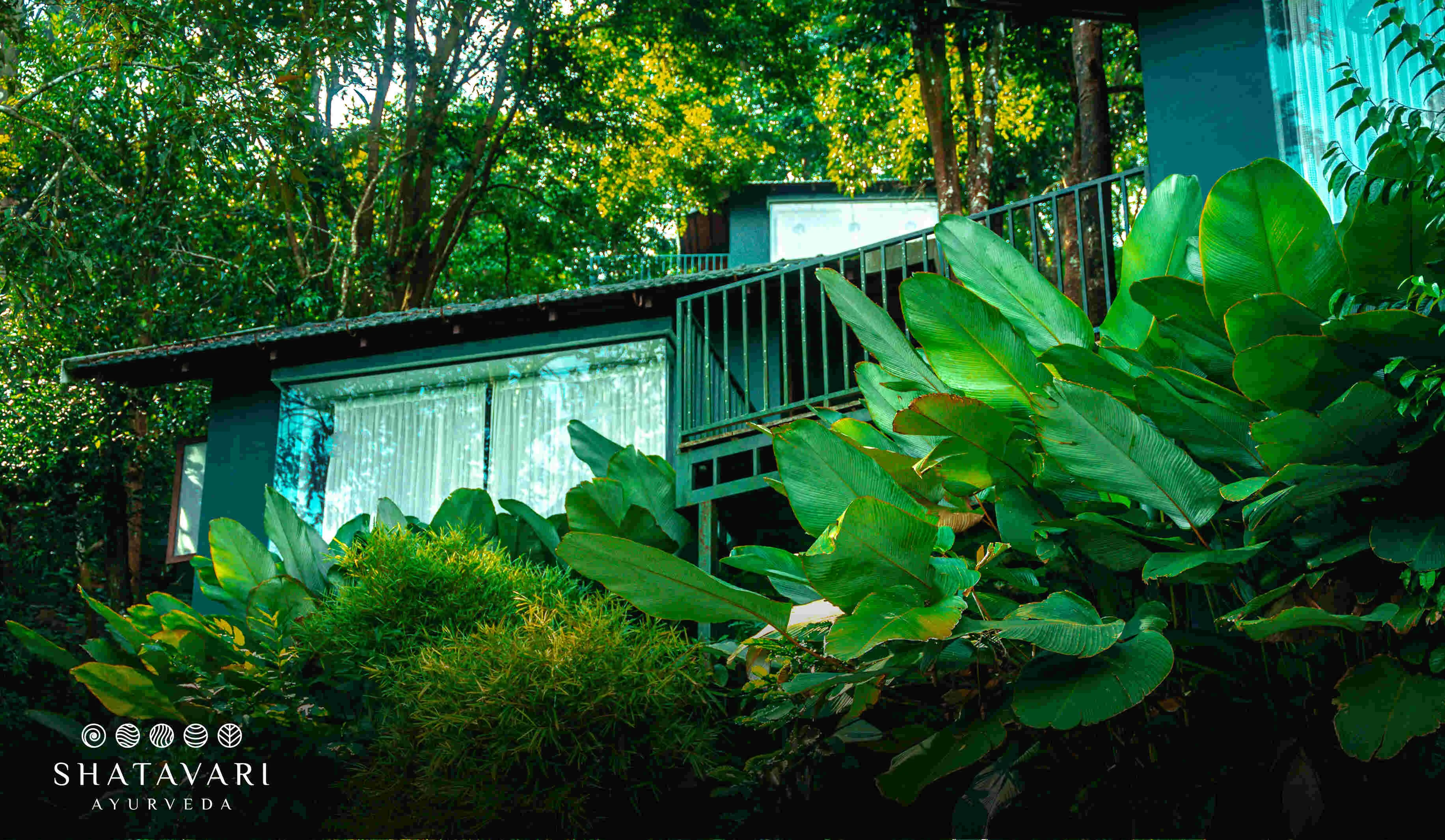 Shatavari Ayurveda Hill Resort-Image9