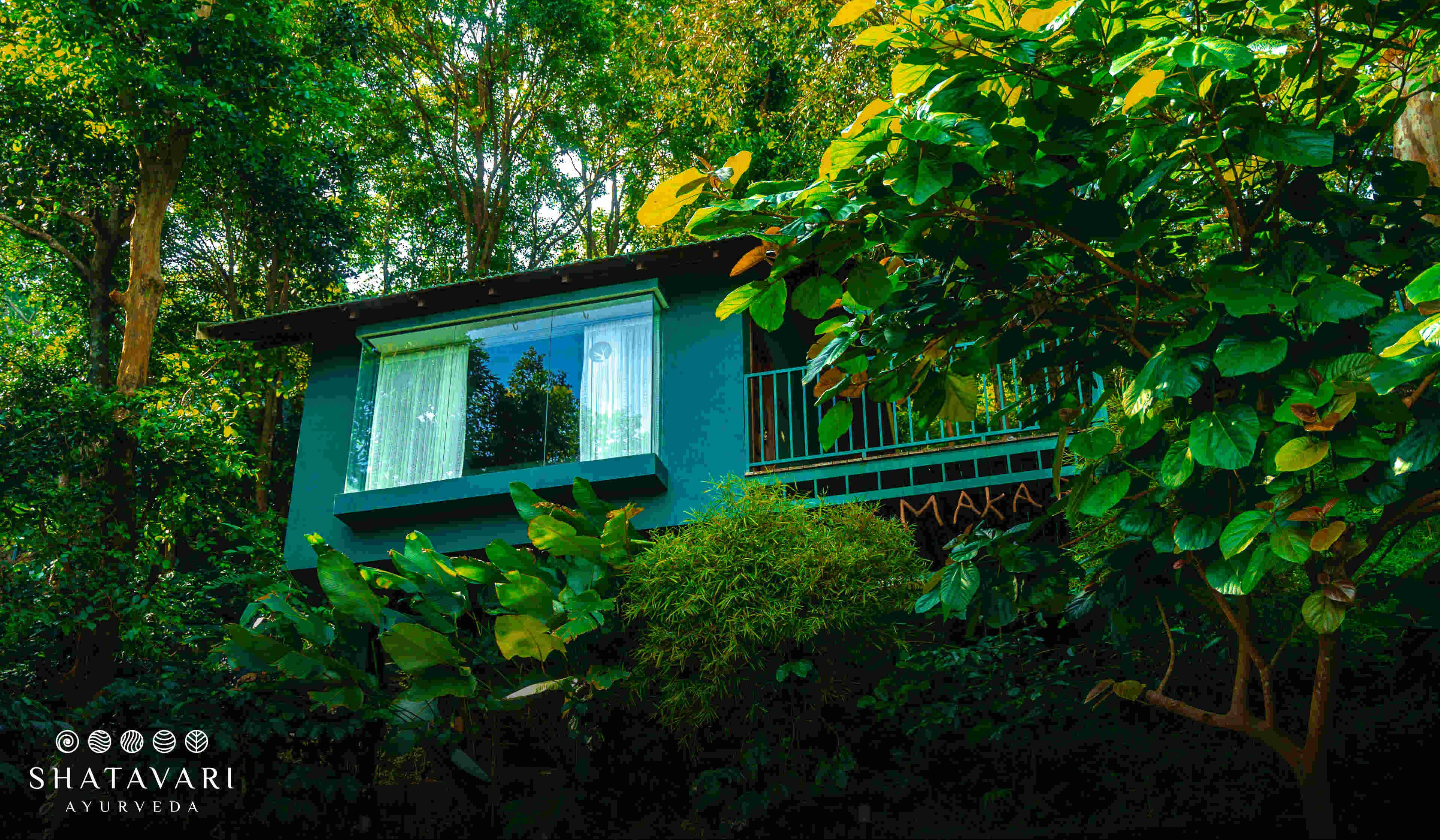 Shatavari Ayurveda Hill Resort-Image11
