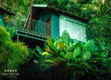 Shatavari Ayurveda Hill Resort-Image18