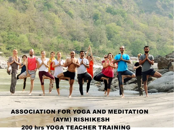 AYM Yoga School-Image6