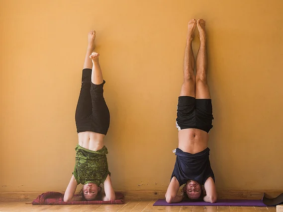 AYM Yoga School-Image13