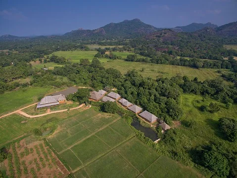 -View-5