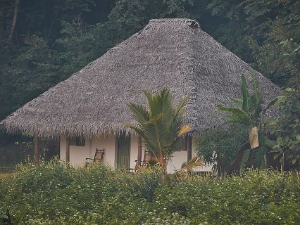 Amuna Ayurveda Retreat-Image12