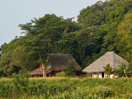 Amuna Ayurveda Retreat-Image8