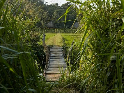 Amuna Ayurveda Retreat-Image10