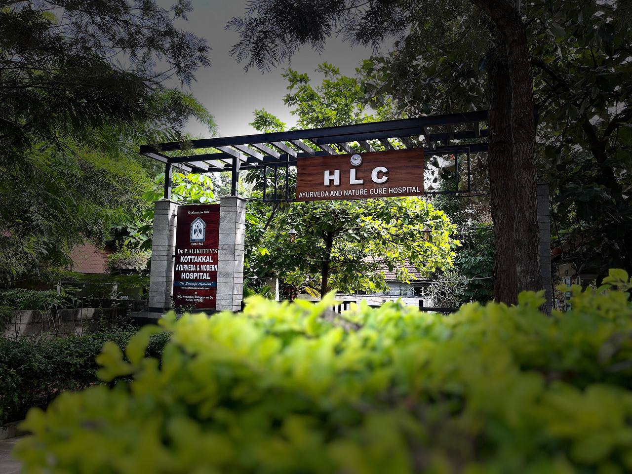 HLC Ayurveda & Nature Cure Hospital-View-2