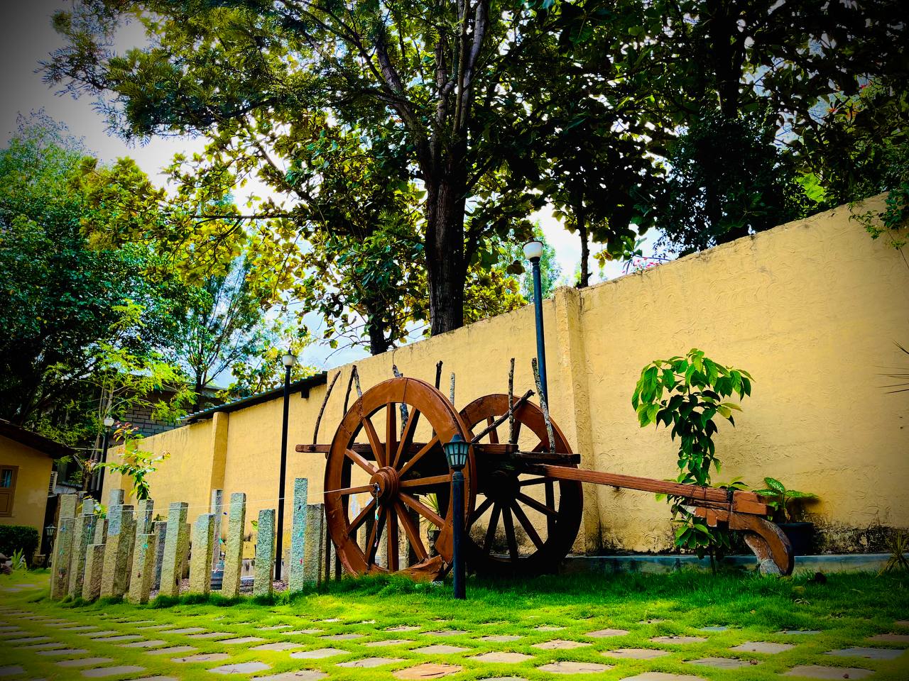 HLC Ayurveda & Nature Cure Hospital-Image17
